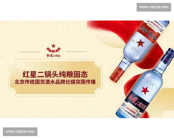 企业市场推广战略解析：如何在竞争激烈的市场中实现品牌突围与增长